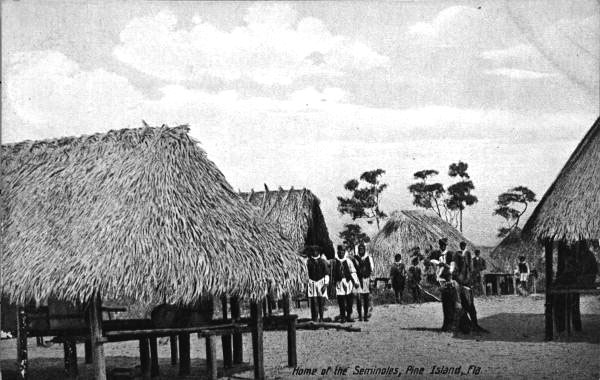 Seminole homestead, Pine Island, with palmetto thatched chickees; source: State Archives of Florida, Florida Memory