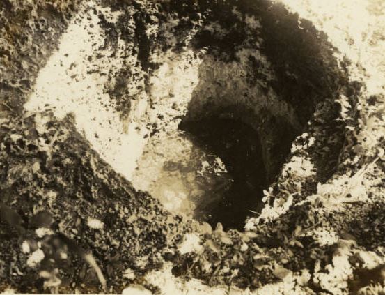 Harney's Punch Bowl; source: Ralph M. Munroe Family Papers, University of Miami Libraries