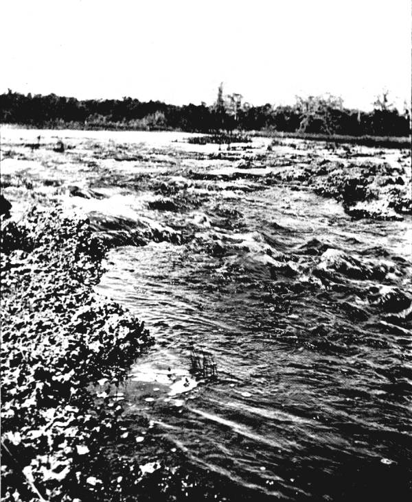 Rapids on the Miami River, 1896; source: State Archives of Florida, Florida Memory