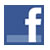 Facebook icon