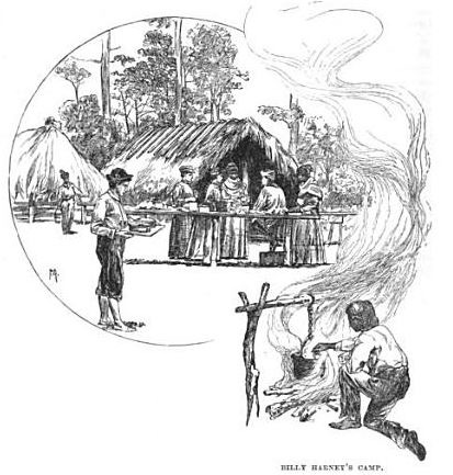 Illustration of Billy Harney's homestead; source: Frank Leslie's Popular Monthly American Magazine, 1891