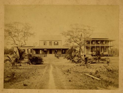 Hotel Bay View, Coconut Grove, Florida, 1893; source: University of Miami Libraries Special Collections
