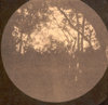 Caption on verso: #14 April 3, 1892, Hackberry Island, camp, Sunday night