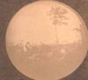 Caption on verso: #32 March 14, 1892, Putting up canvas boats at Ft. Myers Camp