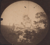 Caption on verso: #45 April 2, 1892, Camp Sawgrass