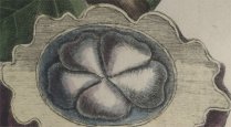 etching