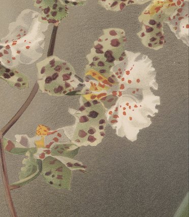 chromolithograph